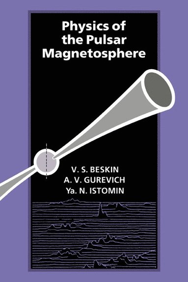 bokomslag Physics of the Pulsar Magnetosphere