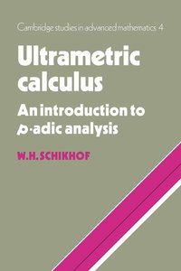 bokomslag Ultrametric Calculus