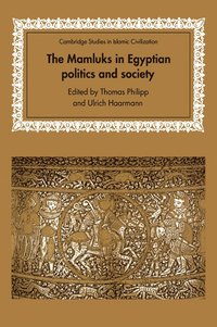 bokomslag The Mamluks in Egyptian Politics and Society