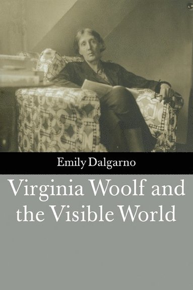 bokomslag Virginia Woolf and the Visible World