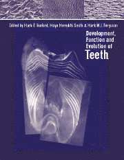 Development, Function and Evolution of Teeth 1