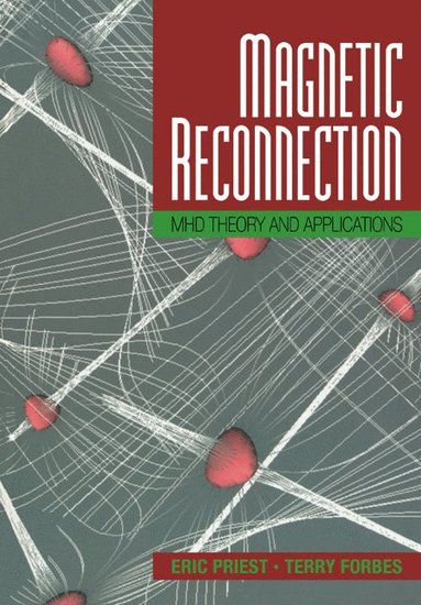 bokomslag Magnetic Reconnection