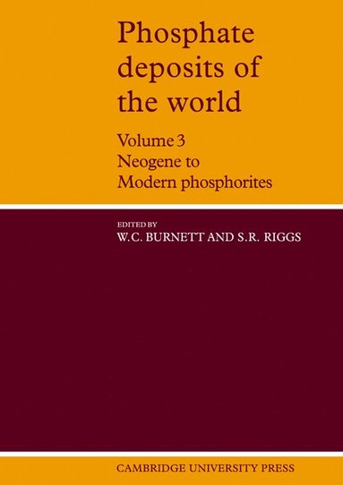 bokomslag Phosphate Deposits of the World: Volume 3, Neogene to Modern Phosphorites