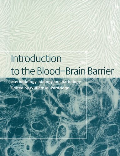bokomslag Introduction to the Blood-Brain Barrier