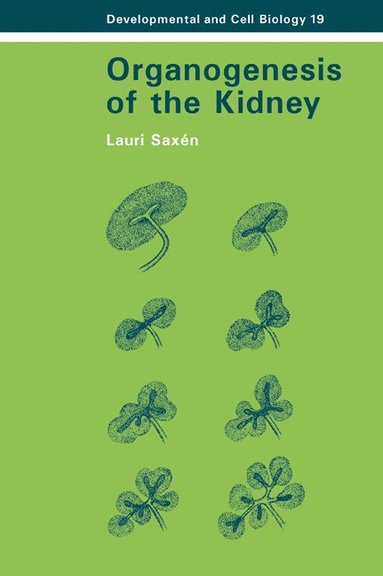 bokomslag Organogenesis of the Kidney