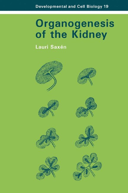 Organogenesis of the Kidney 1