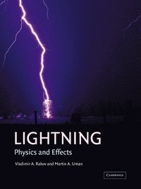 bokomslag Lightning