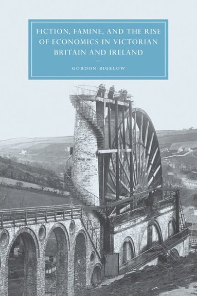 Gordon Bigelow - Fiction, Famine, and the Rise of Economics in Victorian Britain and Ireland, Häftad