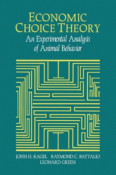 bokomslag Economic Choice Theory
