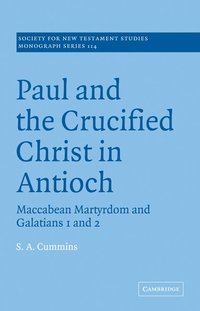 bokomslag Paul and the Crucified Christ in Antioch