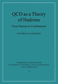 bokomslag QCD as a Theory of Hadrons