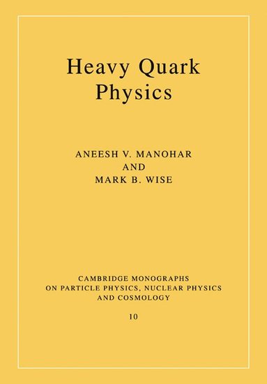 bokomslag Heavy Quark Physics