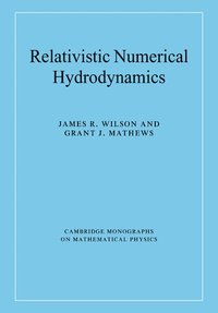 bokomslag Relativistic Numerical Hydrodynamics