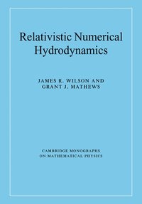 bokomslag Relativistic Numerical Hydrodynamics