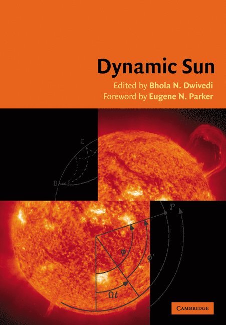 B. N. Dwivedi, India) Dwivedi, B. N. (Banaras Hindu University, Varanasi - Dynamic Sun, Häftad
