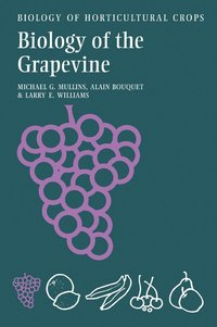 bokomslag Biology of the Grapevine