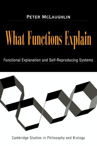 Peter McLaughlin - What Functions Explain, Häftad