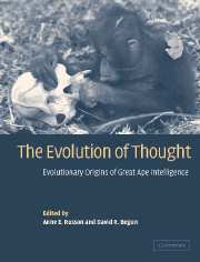 Anne E. Russon, David R. Begun - The Evolution of Thought, Häftad