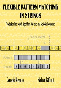 bokomslag Flexible Pattern Matching in Strings