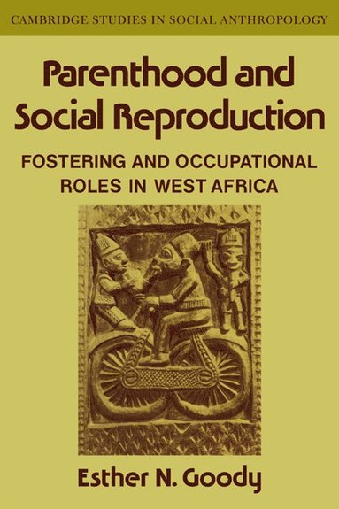 bokomslag Parenthood and Social Reproduction