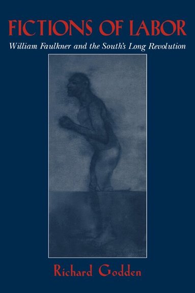 Richard Godden - Fictions of Labor, Häftad