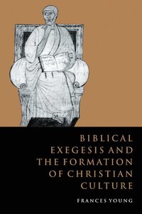 bokomslag Biblical Exegesis and the Formation of Christian Culture