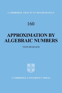 bokomslag Approximation by Algebraic Numbers