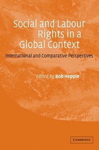 bokomslag Social and Labour Rights in a Global Context