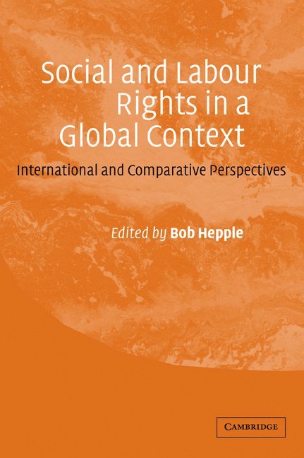 Social and Labour Rights in a Global Context 1
