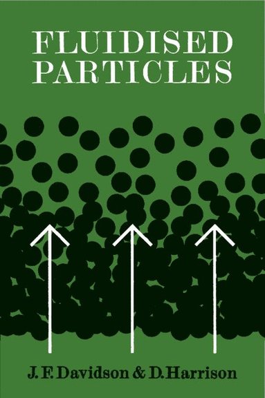 bokomslag Fluidised Particles