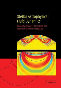 bokomslag Stellar Astrophysical Fluid Dynamics