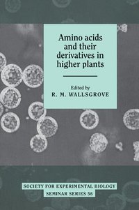 bokomslag Amino Acids and their Derivatives in Higher Plants
