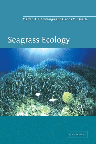 bokomslag Seagrass Ecology