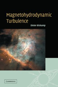 bokomslag Magnetohydrodynamic Turbulence
