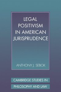 bokomslag Legal Positivism in American Jurisprudence