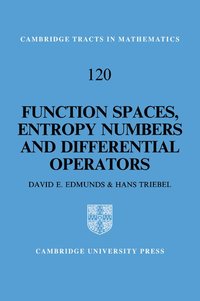bokomslag Function Spaces, Entropy Numbers, Differential Operators