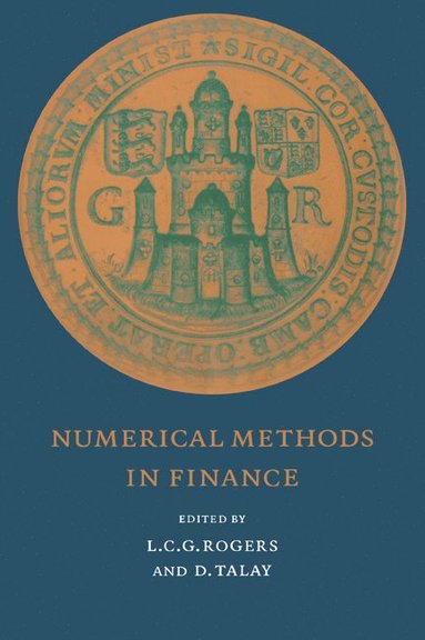 bokomslag Numerical Methods in Finance