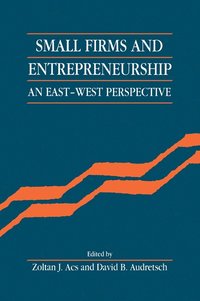 bokomslag Small Firms and Entrepreneurship