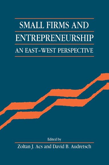 Zoltan J. Acs, David B. Audretsch - Small Firms and Entrepreneurship, Häftad