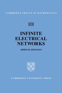 bokomslag Infinite Electrical Networks