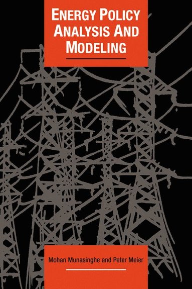 bokomslag Energy Policy Analysis and Modelling