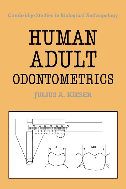 Human Adult Odontometrics 1
