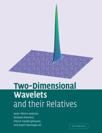 bokomslag Two-Dimensional Wavelets and their Relatives