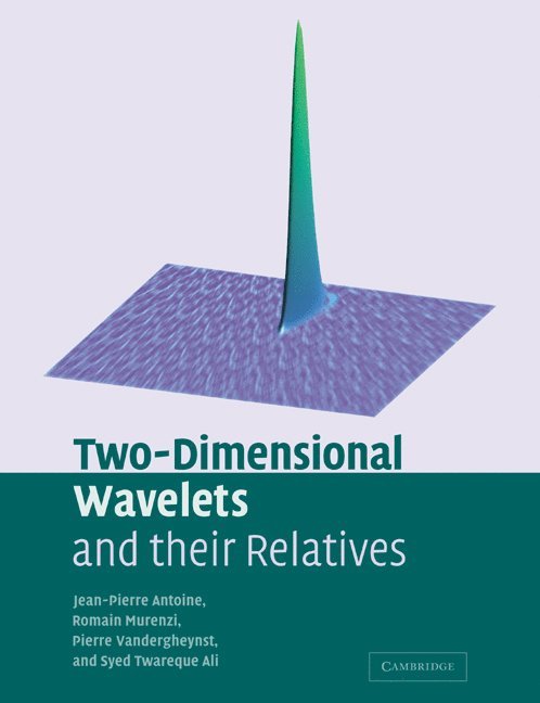 Two-Dimensional Wavelets and their Relatives 1