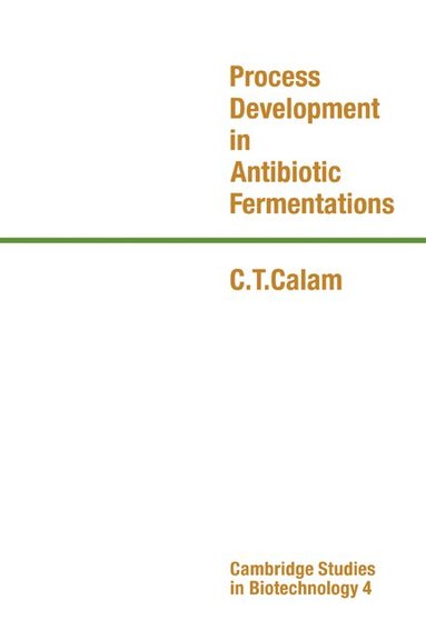 bokomslag Process Development in Antibiotic Fermentations