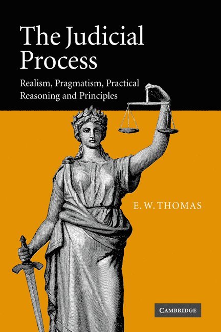 The Judicial Process 1