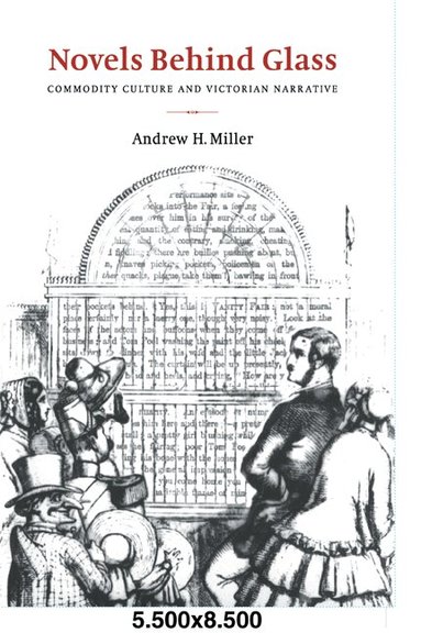 Andrew H. Miller - Novels behind Glass, Häftad