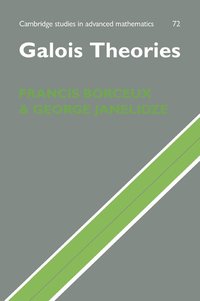 bokomslag Galois Theories