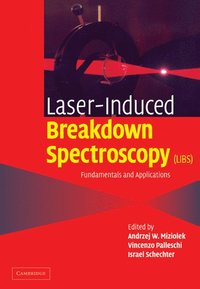 bokomslag Laser Induced Breakdown Spectroscopy