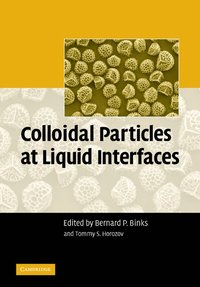 bokomslag Colloidal Particles at Liquid Interfaces